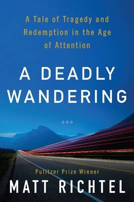 A Deadly Wandering - Matt Richtel