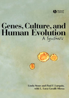 Genes, Culture, and Human Evolution - Linda Stone,  Paul F. Lurquin, L. Luca Cavalli-Sforza