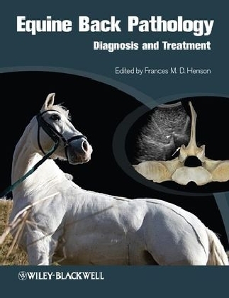 Equine Back Pathology - Diagnosis and Treatment - 