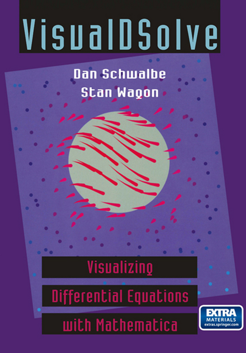 VisualDSolve - Dan Schwalbe, Stan Wagon