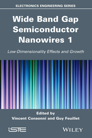 Wide Band Gap Semiconductor Nanowires 1 - 