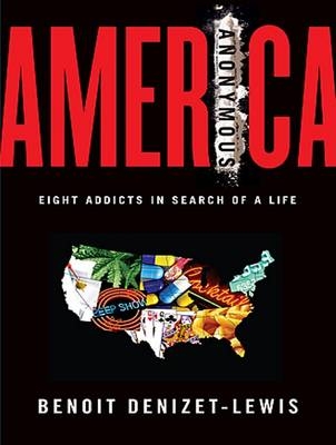 America Anonymous - Benoit Denizet-Lewis