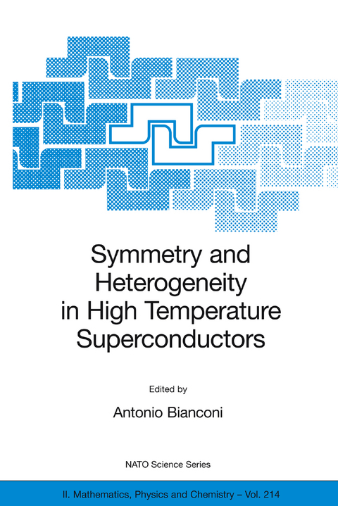 Symmetry and Heterogeneity in High Temperature Superconductors - 