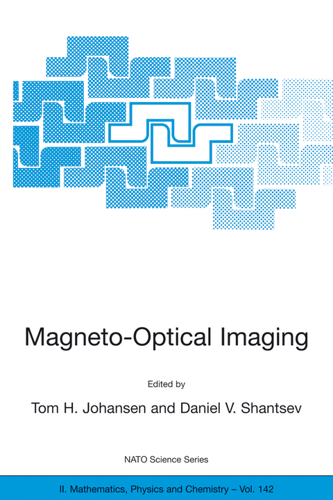 Magneto-Optical Imaging - 
