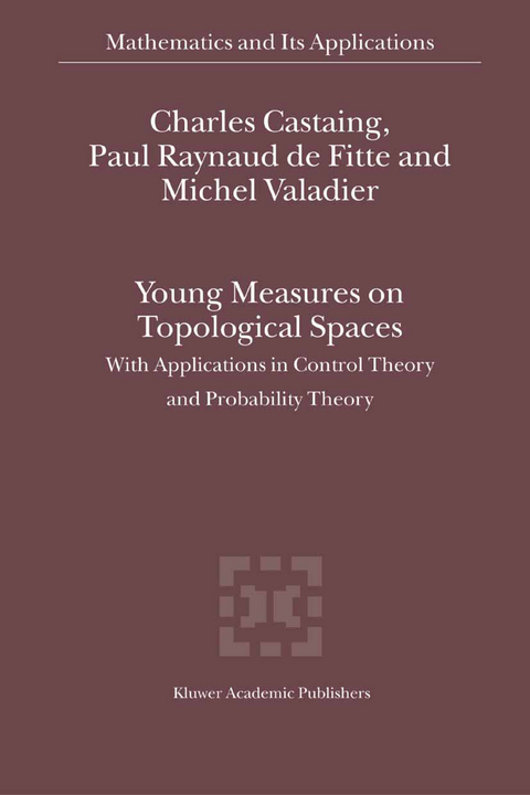 Young Measures on Topological Spaces - Charles Castaing, Paul Raynaud de Fitte, Michel Valadier
