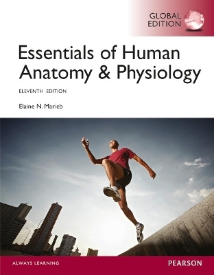 Essentials of Human Anatomy and Physiology, Global Edition -- Mastering A&P with Pearson eText - Elaine Marieb