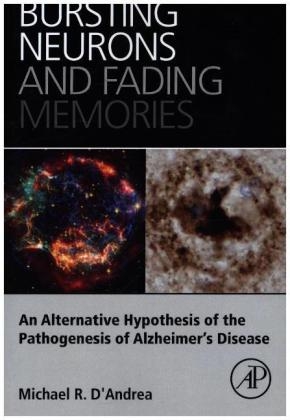 Bursting Neurons and Fading Memories - Michael R. D'Andrea