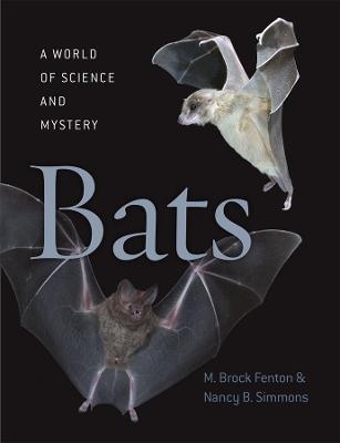 Bats - M. Brock Fenton, Nancy B. Simmons