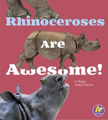 Rhinoceroses Are Awesome! -  Allan Morey