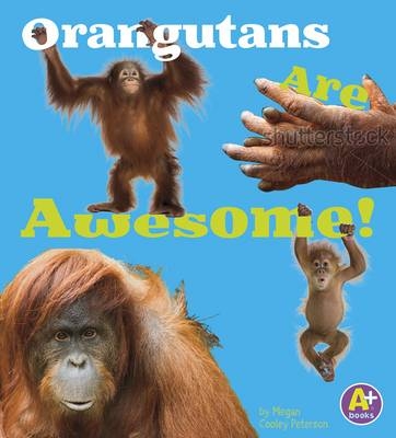 Orangutans Are Awesome! -  Allan Morey