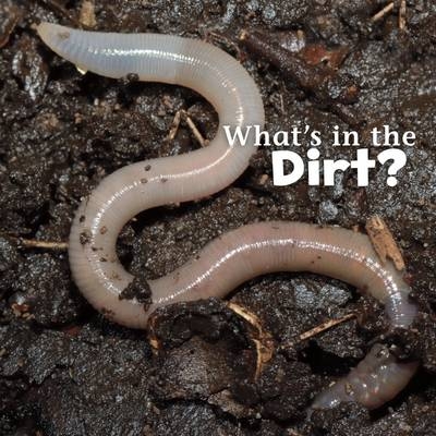 What's in the Soil? -  Martha E. H. Rustad