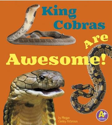 King Cobras Are Awesome! -  Megan C Peterson