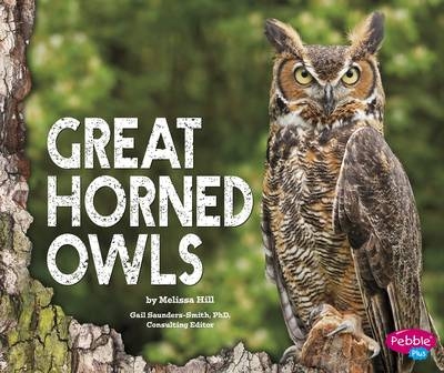 Great Horned Owls -  Melissa Hill