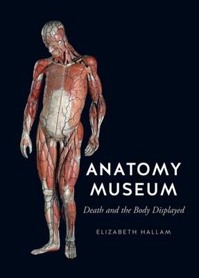 Anatomy Museum -  Hallam Elizabeth Hallam