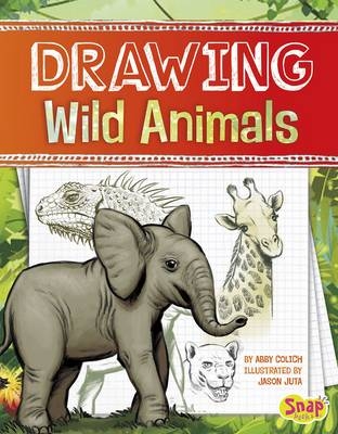 Drawing Wild Animals -  Abby Colich