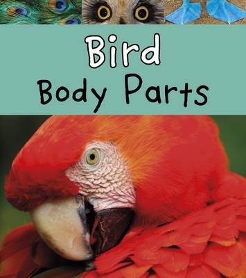 Bird Body Parts -  Clare Lewis