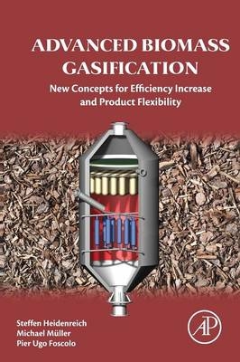 Advanced Biomass Gasification -  Pier Ugo Foscolo,  Steffen Heidenreich,  Michael Muller