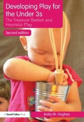 Developing Play for the Under 3s - Anita M. Hughes