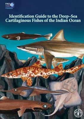 Identification Guide to the Deep-Sea Cartilaginous Fishes of the Indian Ocean -  Food and Agriculture Organization of the United Nations