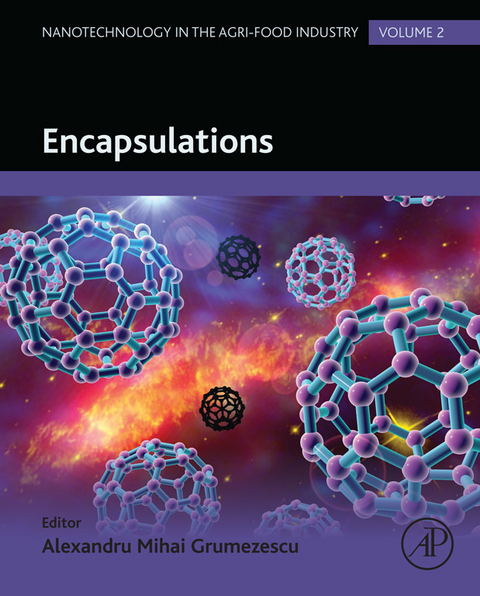 Encapsulations -  Alexandru Grumezescu