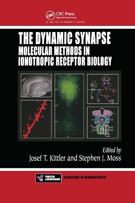 The Dynamic Synapse - 