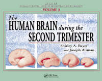The Human Brain During the Second Trimester - Shirley A. Bayer, Joseph Altman