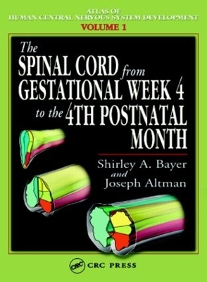 The Spinal Cord from Gestational Week 4 to the 4th Postnatal Month - Shirley A. Bayer, Joseph Altman