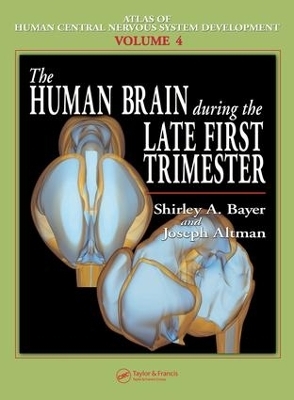 The Human Brain During the Late First Trimester - Shirley A. Bayer, Joseph Altman