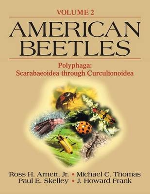 American Beetles, Volume II - 