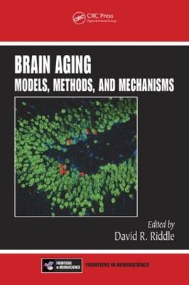 Brain Aging - 