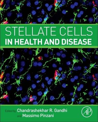Stellate Cells in Health and Disease - 