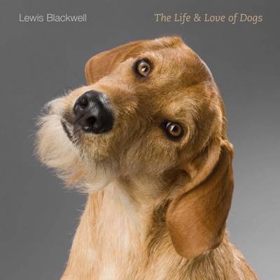 The Life and Love of Dogs - Lewis Blackwell