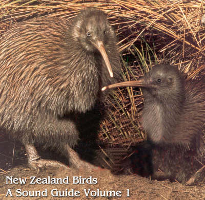 New Zealand Birds: a Sound Guide - Leslie B. McPherson