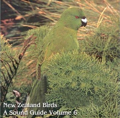 New Zealand Birds: a Sound Guide - Leslie B. McPherson
