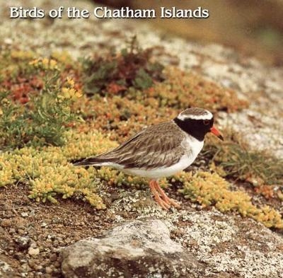 Birds of the Chatham Islands - Leslie B. McPherson