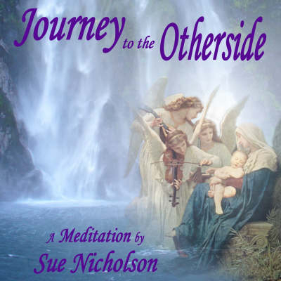Journey to the Other Side - Sue Nicholson, Sue Murray
