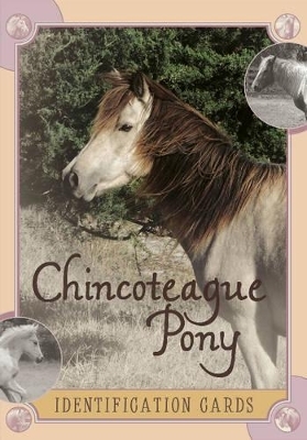 Chincoteague Pony Identification Cards: Set 2 - Lois Szymanski