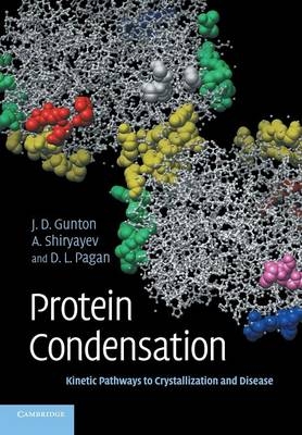 Protein Condensation - James D. Gunton, Andrey Shiryayev, Daniel L. Pagan
