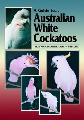 Australian White Cockatoos - Chris Hunt
