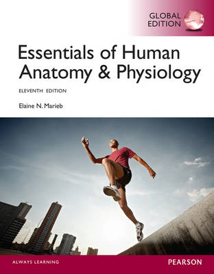 Essentials of Human Anatomy & Physiology with MasteringA&P, Global Edition - Elaine N. Marieb