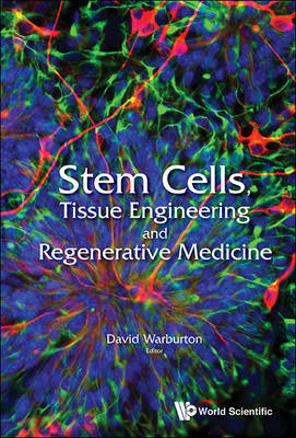 Stem Cells, Tissue Engineering And Regenerative Medicine - 