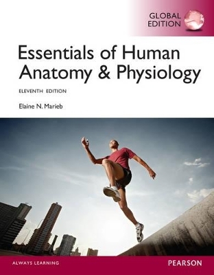 Essentials of Human Anatomy & Physiology, Global Edition - Elaine N. Marieb