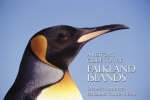 A Visitor's Guide to the Falkland Islands - Debbie Summers