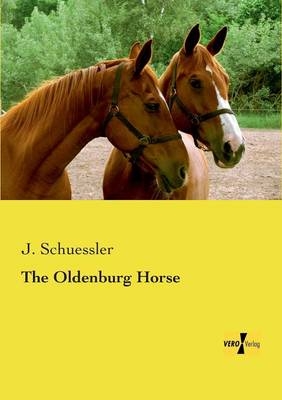 The Oldenburg Horse - J. Schuessler