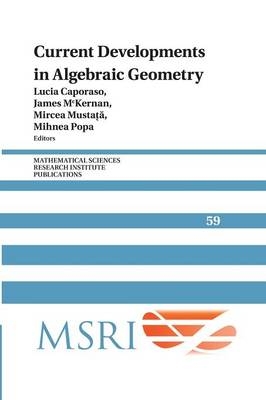 Current Developments in Algebraic Geometry - 