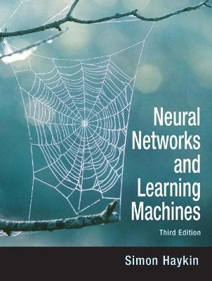 Neural Networks and Learning Machines - Simon Haykin