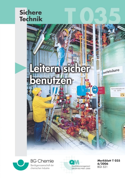 T 035 - Leitern sicher benutzen