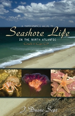 A Photographic Guide to Seashore Life in the North Atlantic - J. Duane Sept