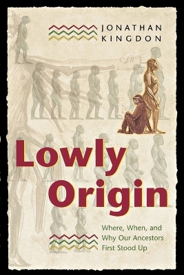 Lowly Origin - Jonathan Kingdon
