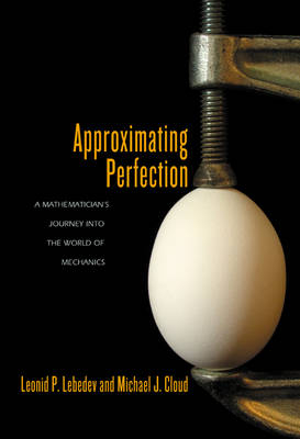 Approximating Perfection - Leonid P. Lebedev, Michael J. Cloud